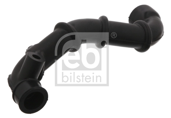 Hose, crankcase ventilation
